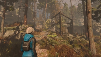 Through the Woods Screenshot